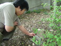 20070504151623