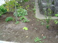 20070504151943