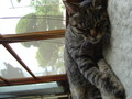 20070505122710