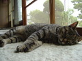 20070505122730