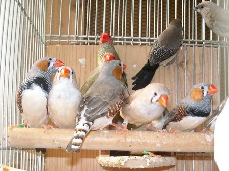 f:id:horii888888:20091031063407j:image:right