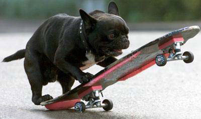 f:id:horii888888:20091101094513j:image:left f:id:horii888888:20091101094513j:image:left