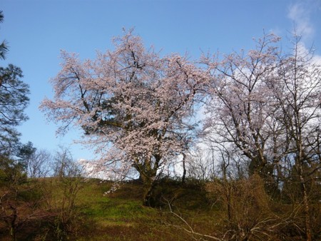 f:id:horii888888:20100501052901j:image