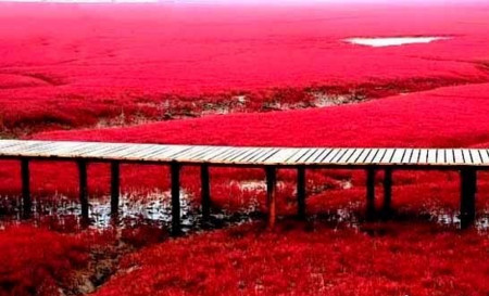 f:id:horii888888:20121109045711j:image