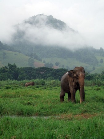 f:id:horii888888:20140107055303j:image