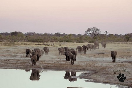 f:id:horii888888:20170128055039j:image f:id:horii888888:20170128055039j:image