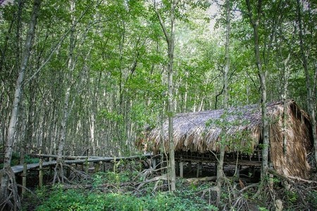 f:id:horii888888:20190124064002j:image