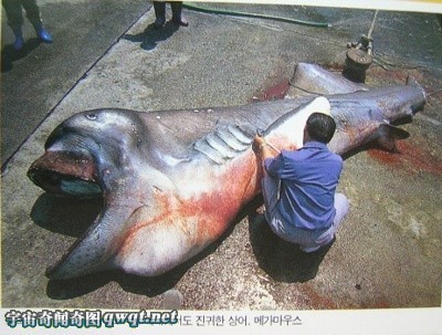 f:id:horii888888:20190601050144j:plain