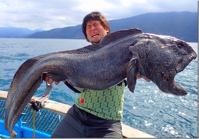 f:id:horii888888:20190601050212j:plain