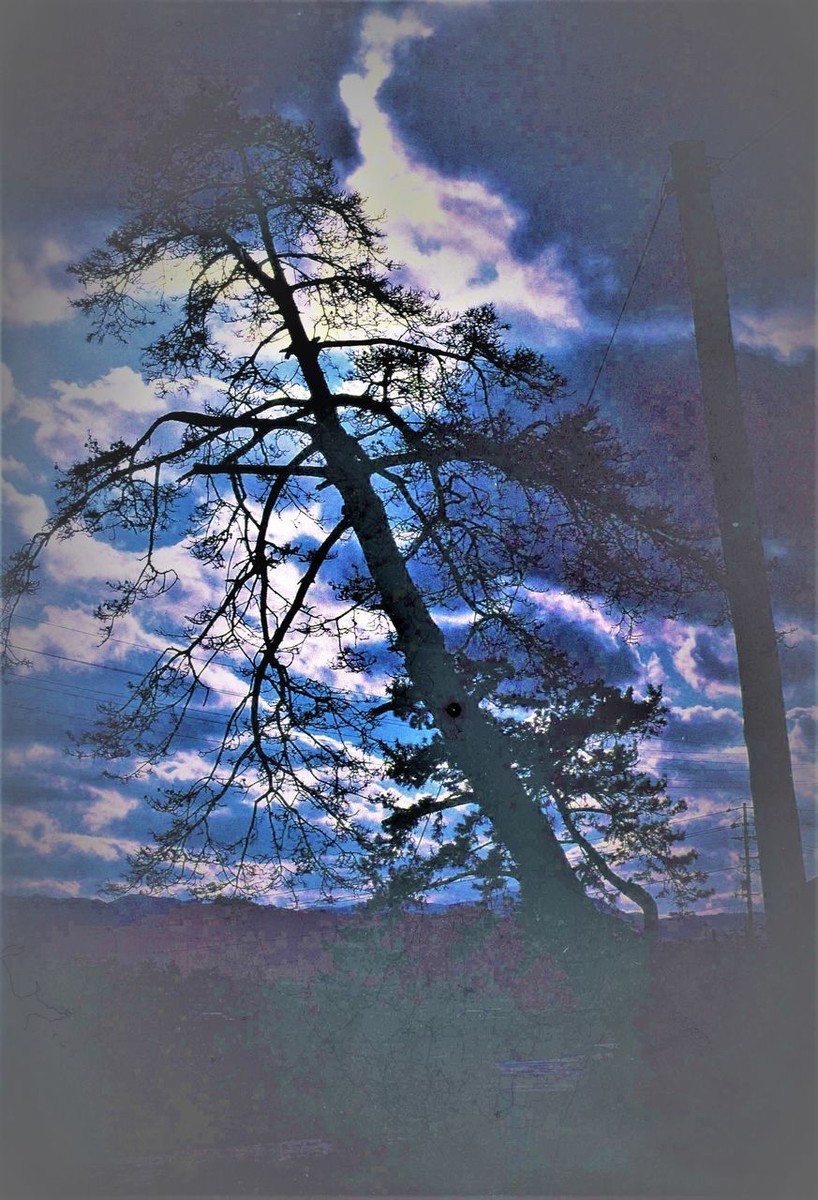 f:id:horii888888:20190903070007j:plain