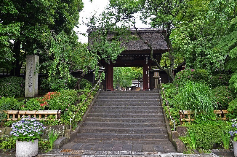 f:id:horii888888:20191112053724j:plain f:id:horii888888:20191112053724j:plain