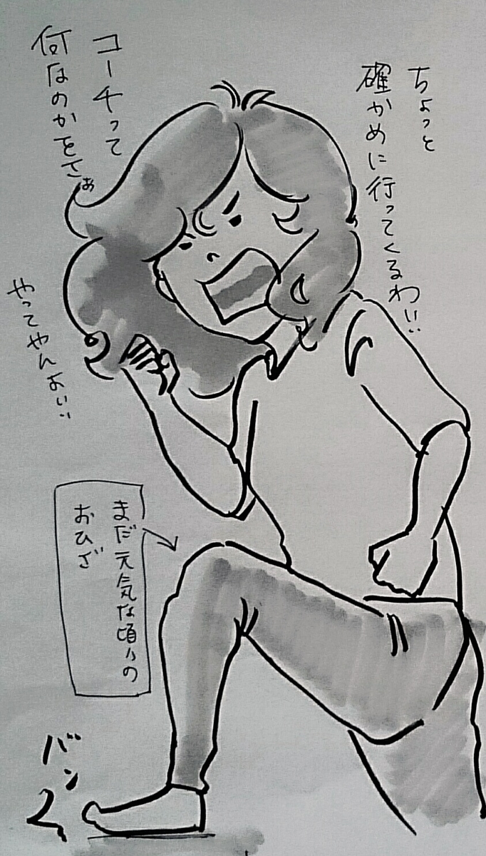 f:id:horimimi:20190502162746j:plain