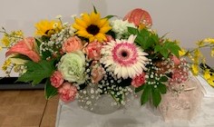 f:id:horin_blog:20190515105536j:plain