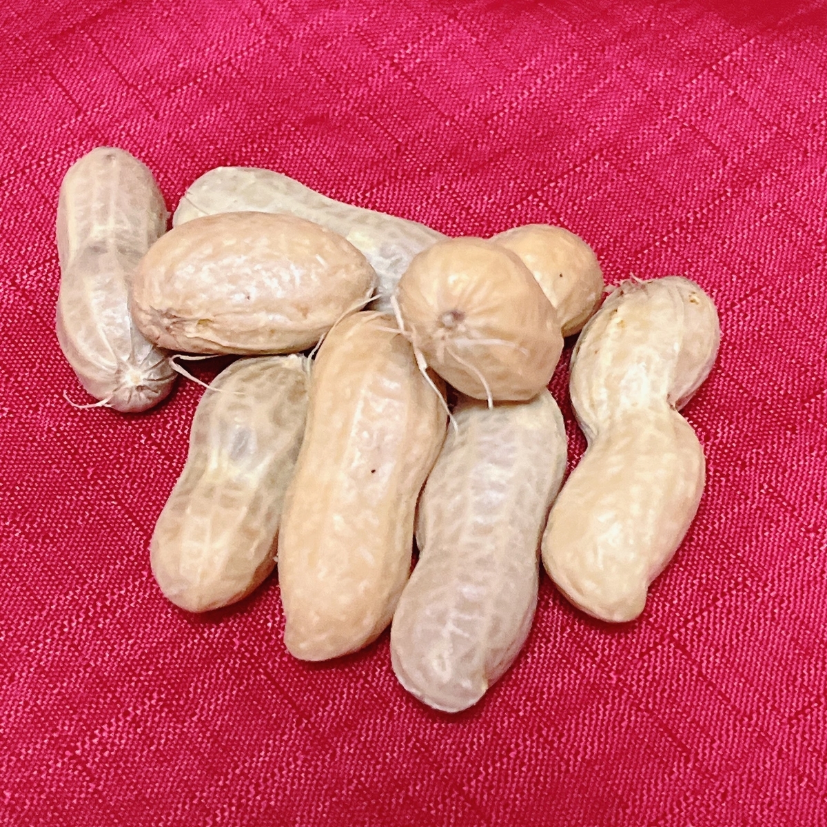生落花生 Horincosmetics Staff Blog 生落花生 Horincosmetics Staff Blog
