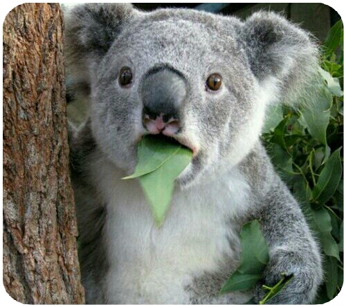 f:id:horitime:20210513114758j:plain