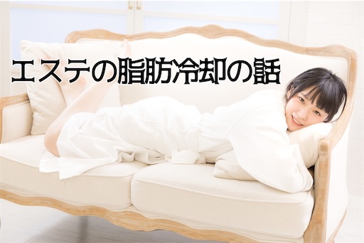 効果なし エステの脂肪冷却ダイエットをやった話 30代の美容医療ブログ 効果なし エステの脂肪冷却ダイエットをやった話 30代の美容医療ブログ