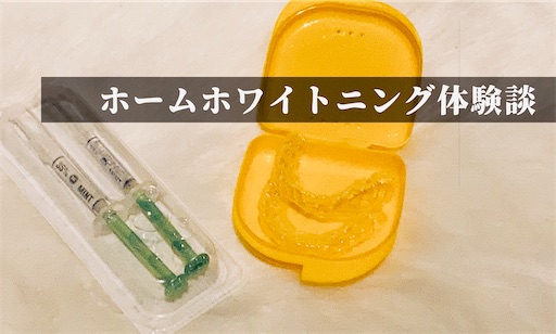 f:id:horitsukiko:20211210211647j:image