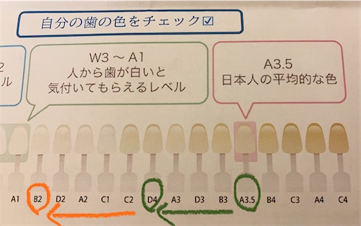 f:id:horitsukiko:20220220110739j:image