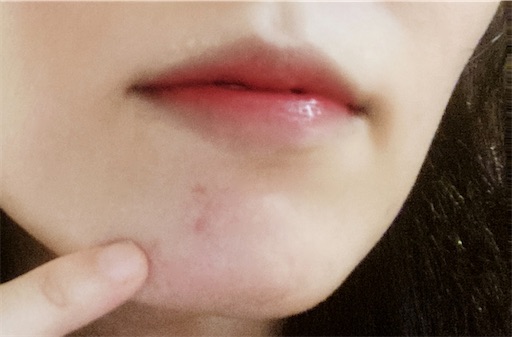 f:id:horitsukiko:20220526192129j:image