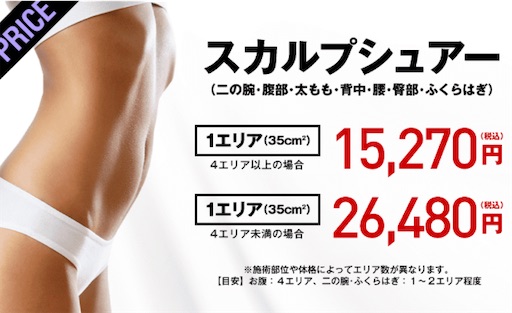 f:id:horitsukiko:20221217140910j:image