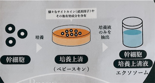 f:id:horitsukiko:20231025130421j:image