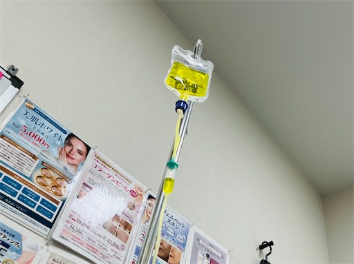 f:id:horitsukiko:20240903211432j:image