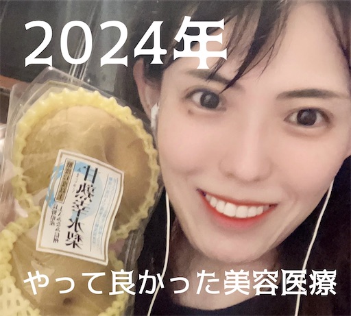 f:id:horitsukiko:20241228150435j:image