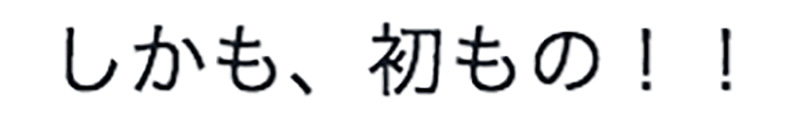 f:id:horiuchiyasutaka:20160917204802j:plain