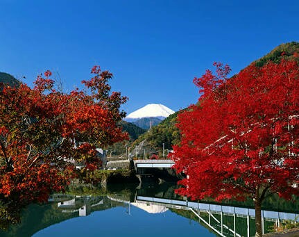 絶景 神奈川で富士山 紅葉が見える丹沢湖の楽しみ方は Futuretrip 絶景 神奈川で富士山 紅葉が見える丹沢湖の楽しみ方は Futuretrip