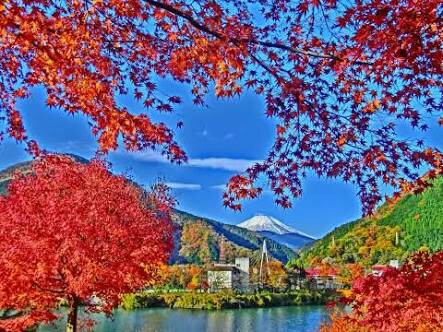 f:id:hornet006:20160819024104j:image