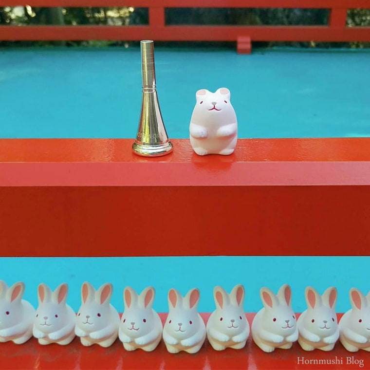 Kami Rabbit マッピと散歩 - ホルン虫 | ホルン夫婦ブログ