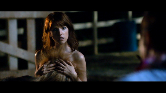 ウェディング フィーバー ゲスな男女のハワイ旅行 ﾁﾗ裏ﾚﾍﾞﾙの人生記 仮