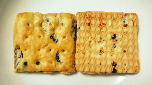 f:id:horohhoo:20170526173249j:plain