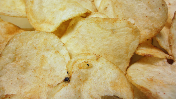 f:id:horohhoo:20180510093721j:plain f:id:horohhoo:20180510093721j:plain