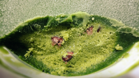 f:id:horohhoo:20180607173822j:plain