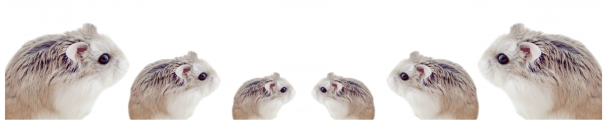 f:id:horomary:20210227174718p:plain:w1000