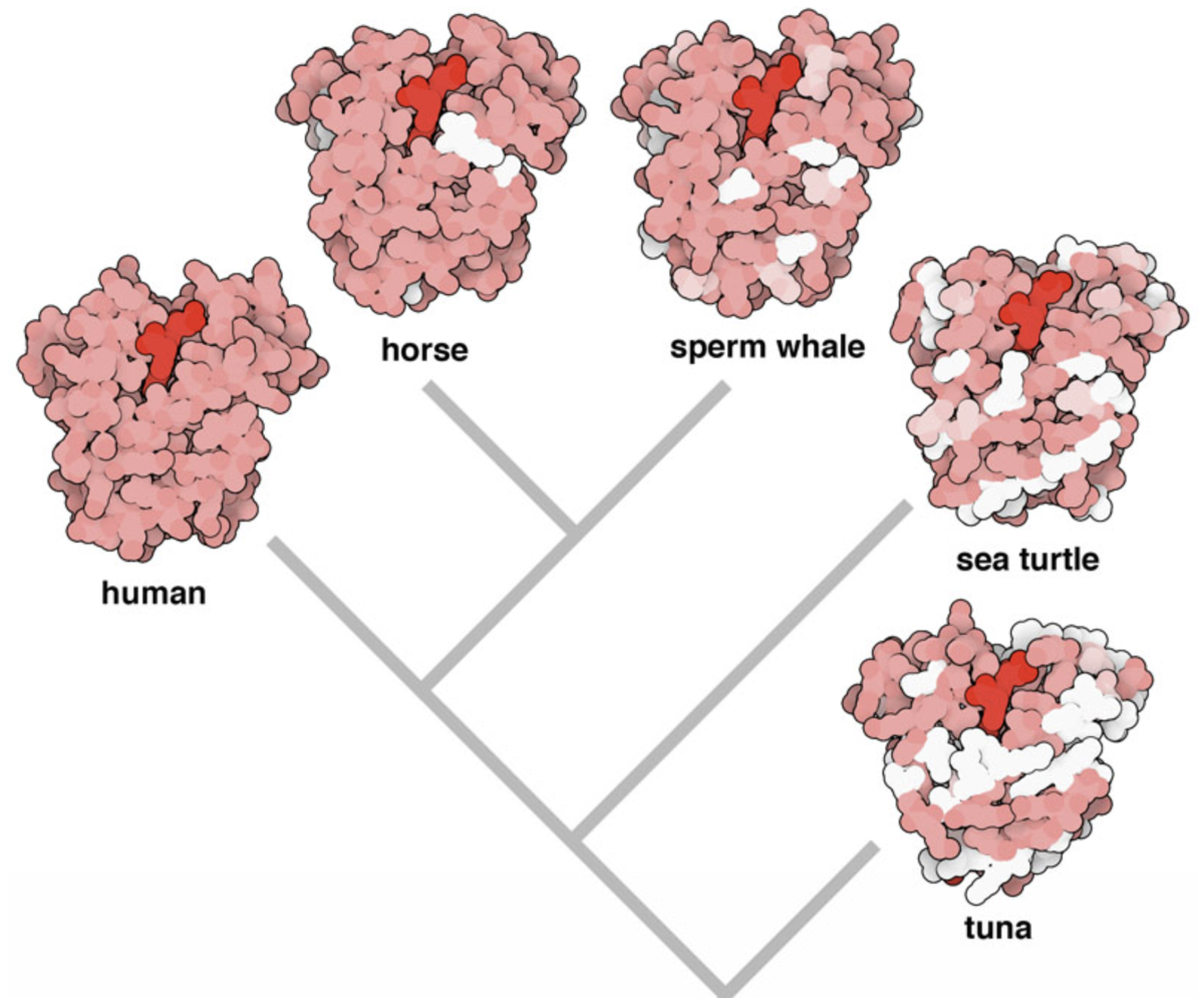 f:id:horomary:20210929140640p:plain:w300