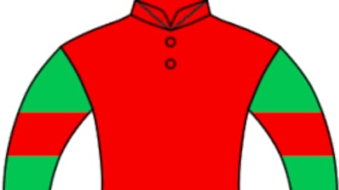 【マイネルガンナー】メイクデビュー出走に対するラフィアン民の声 - 一口馬主まとめサイト