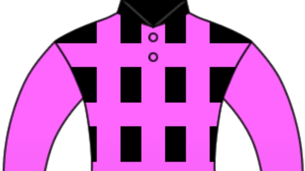 切り抜き、一口馬主