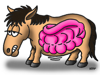 f:id:horsebg:20190515175209j:plain