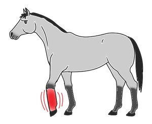 f:id:horsebg:20190523201325j:plain