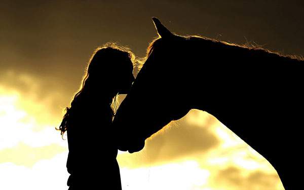 f:id:horsebg:20190525204519j:plain