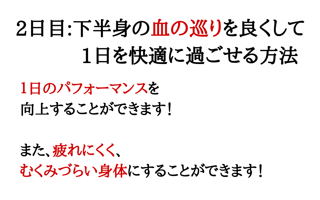 f:id:horsebg:20190712020849p:plain