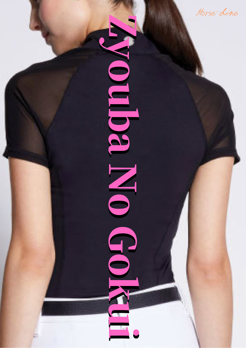 f:id:horsebg:20190723011405p:plain