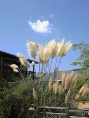 20090906132939