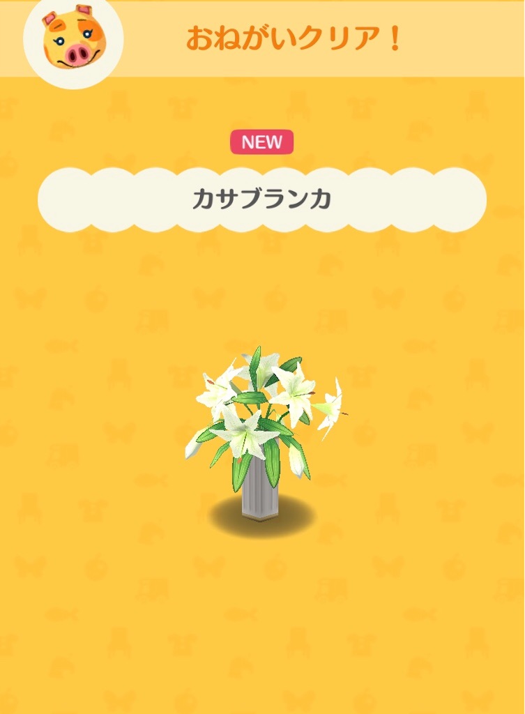 f:id:horuhu:20180607195841j:image