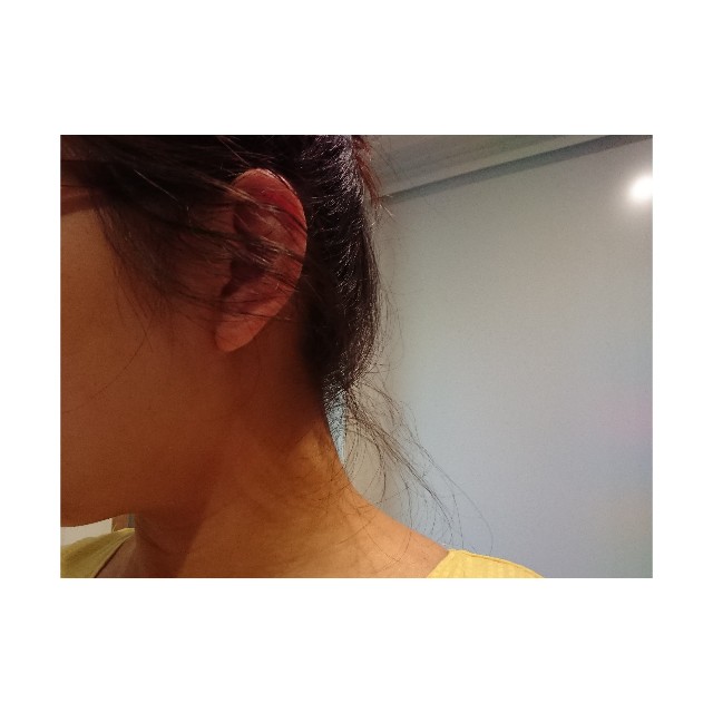 f:id:horumon_lady:20190626212027j:plain f:id:horumon_lady:20190626212027j:plain