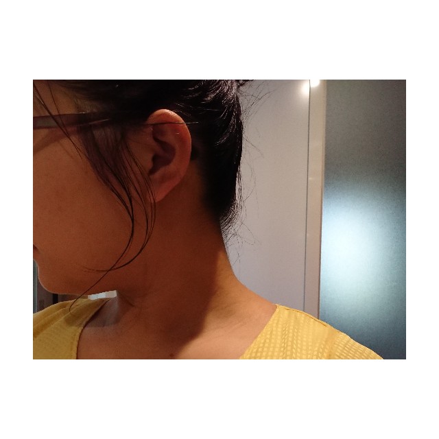 f:id:horumon_lady:20190626212032j:plain f:id:horumon_lady:20190626212032j:plain
