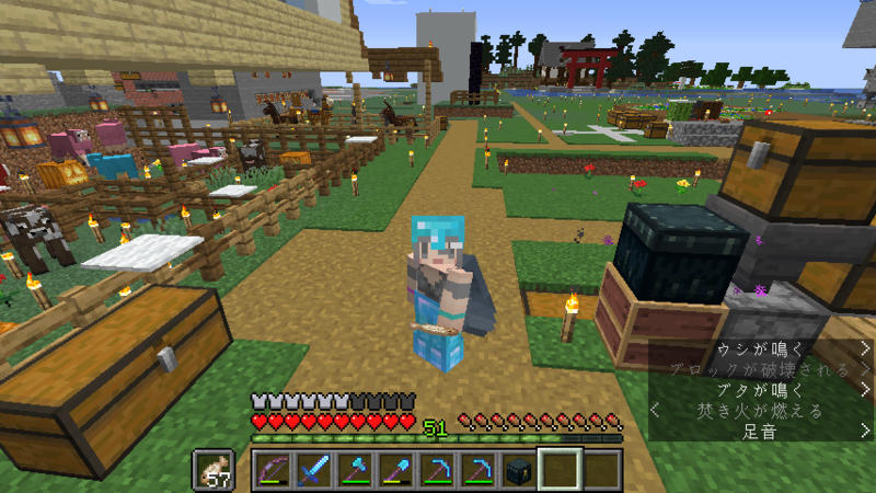 f:id:hosahosa666:20200530220852p:plain