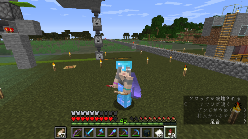 f:id:hosahosa666:20200530220904p:plain